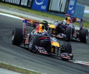 yapboz Mark Webber - Red Bull - 2010 İstanbul